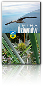 dziwnow2