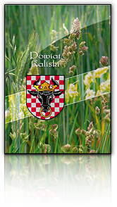 kalisz1